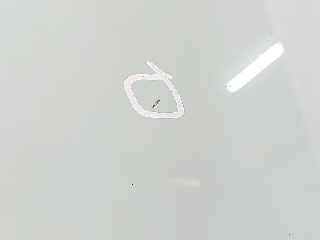 фото №7, Bmw x4 g02 19r. стекло передняя лобовое