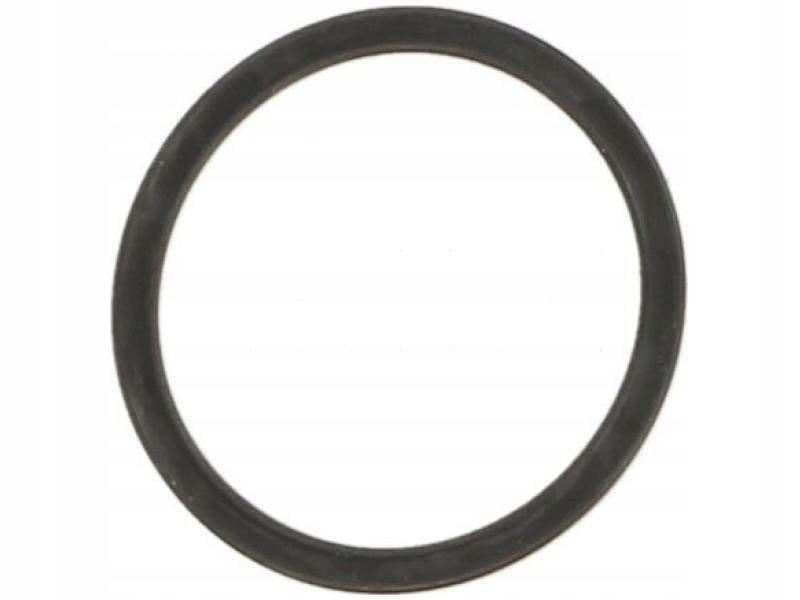 фото №1, Elring 248.430 прокладка, корпус термостата