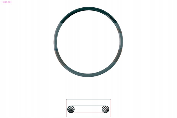 фото №1, Eps 1.890.561 прокладка, термостат