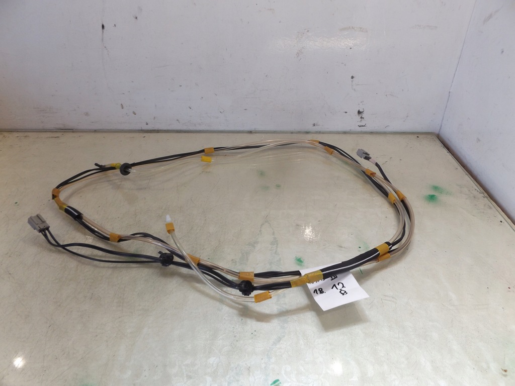 фото №1, Ignis iii джгут