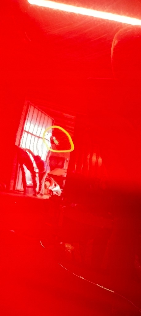 фото №6, Капот крышка двигателя vw golf vii 5g0