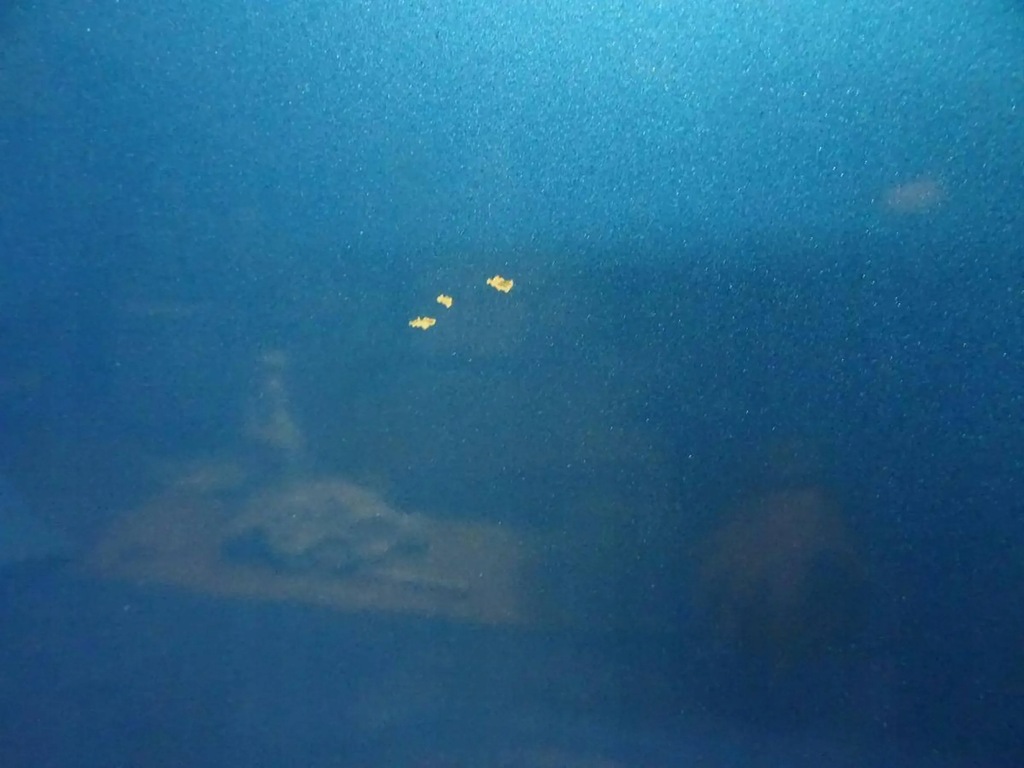 фото №7, Дверь правое перед citroen c3 picasso kgwc