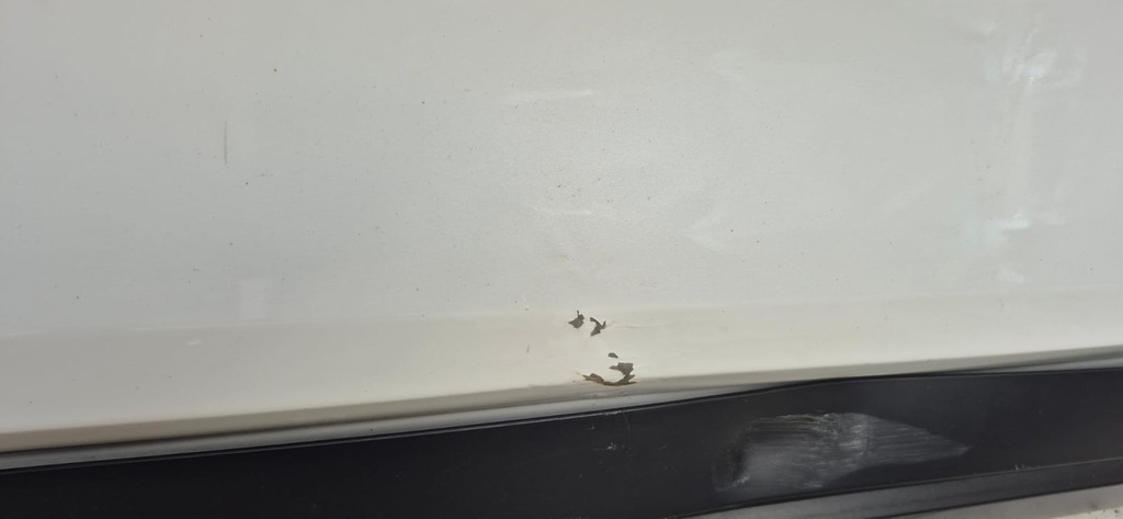 фото №8, Honda cr-v vi 22- двері ліва перед передні