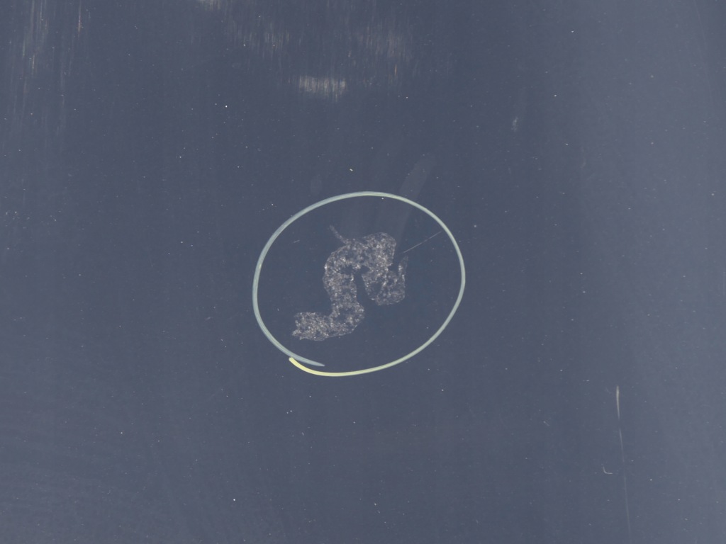 Капот крышка двигателя tegne renault megane 3 12-13r. 1 fl Оригинал