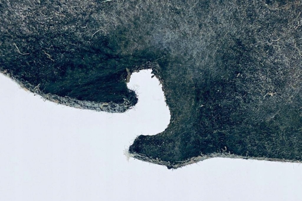 фото №1, Подкрылок правое передние renault grand scénic iii jz0/1_ 638450007r 1.46l