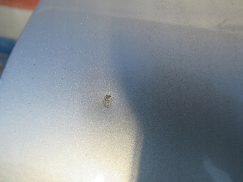 фото №6, Audi a6 c6 двері правий задня колір ly7w