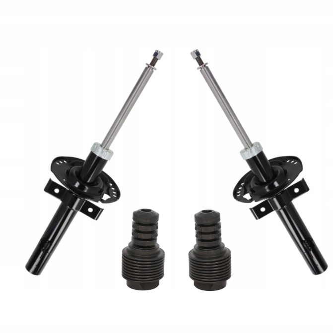 фото №1, Амортизаторы перед защита renault grand scenic ii