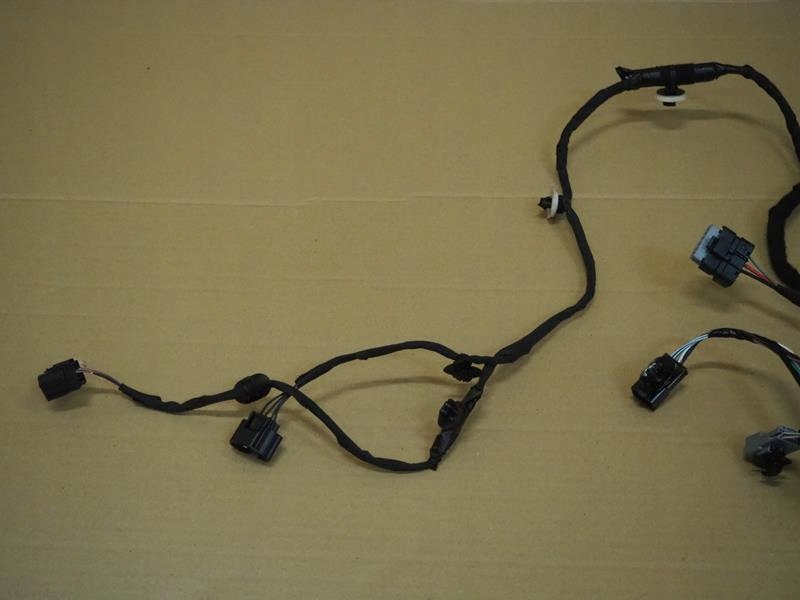 фото №2, Джгут електропроводка двері лівий перед grand scenic iv