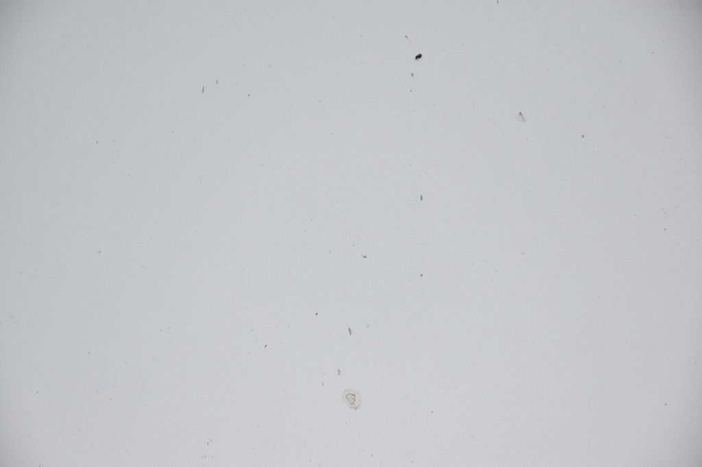 фото №7, Капот крышка двигателя audi a6 c6