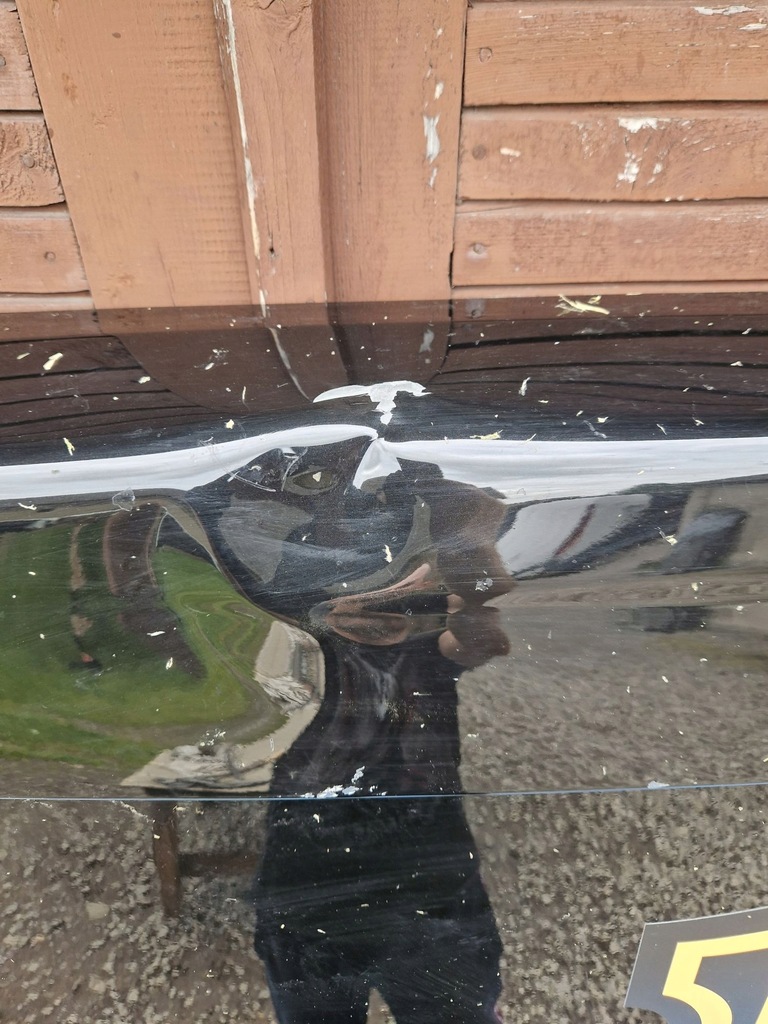 фото №5, Дверь левая задние renault master iii 2010r-