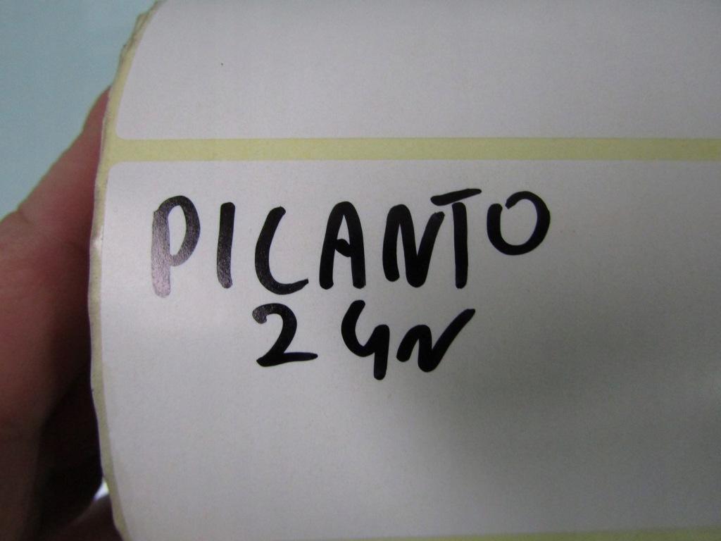 Kia picanto 3 5d 24r стеля обшивка Зі Шроту