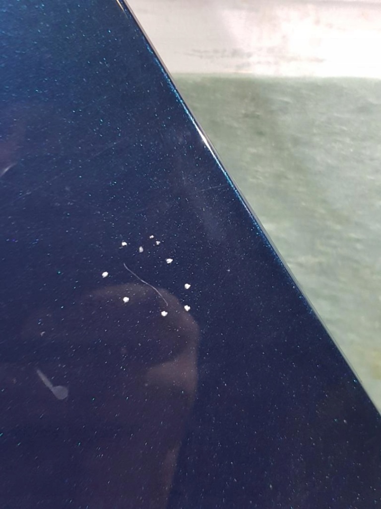 фото №3, Крыло левый перед renault captur bixwd