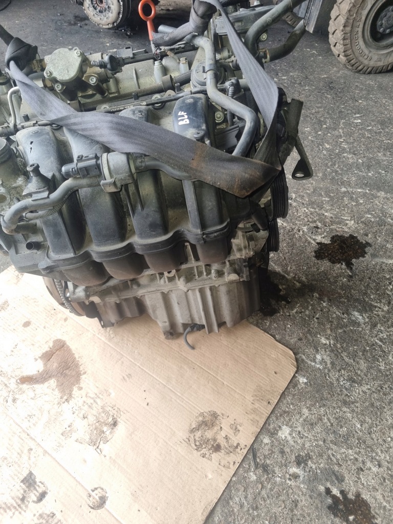 Купити Двигун vw audi 1.6 fsi blf