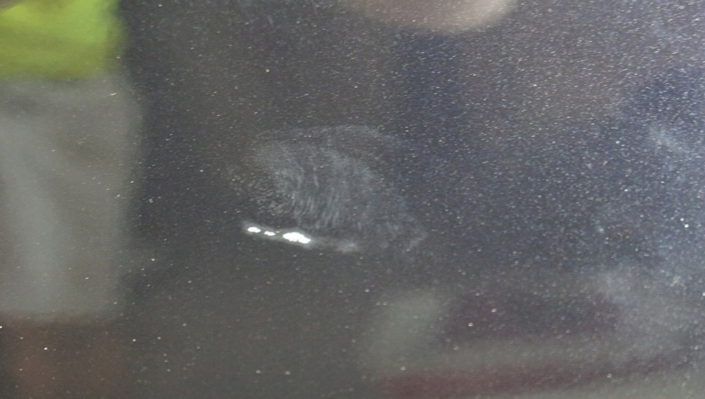 фото №7, Дверь правый перед opel corsa d 3d