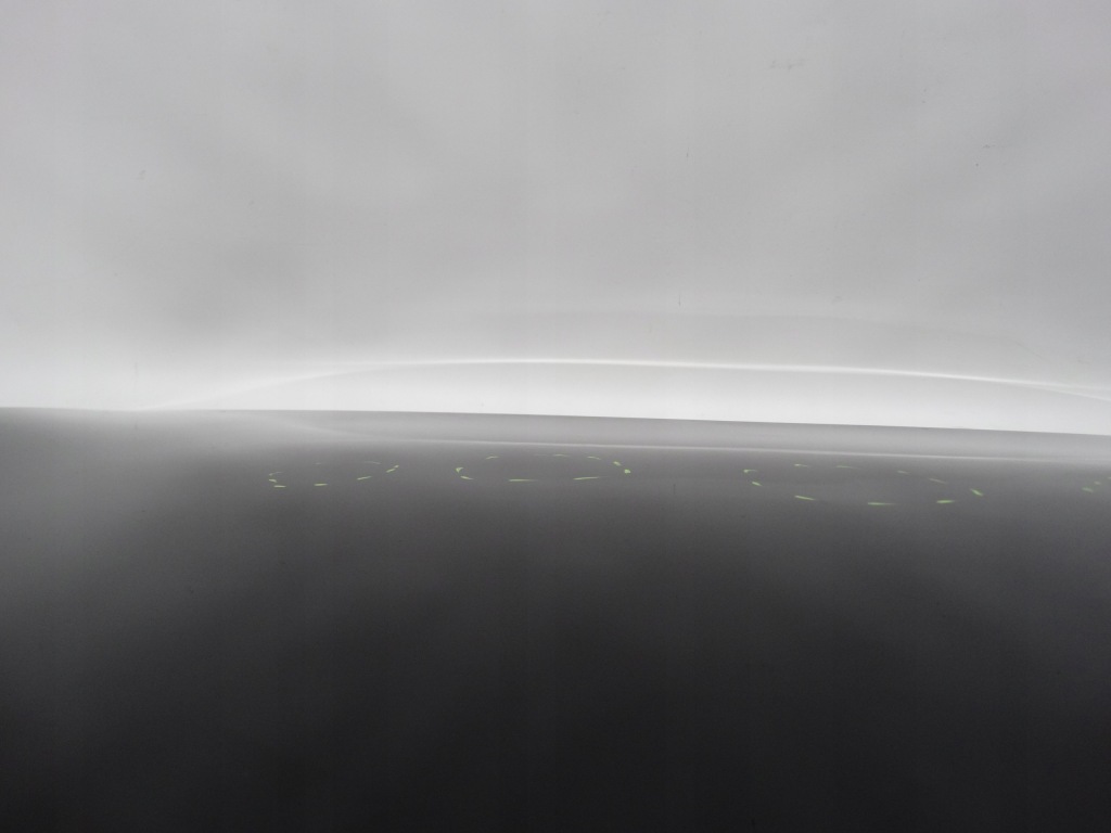 Tesla model 3 рестайлінг  highland 2023+ капот кришка двигуна оригінальна Оригінал