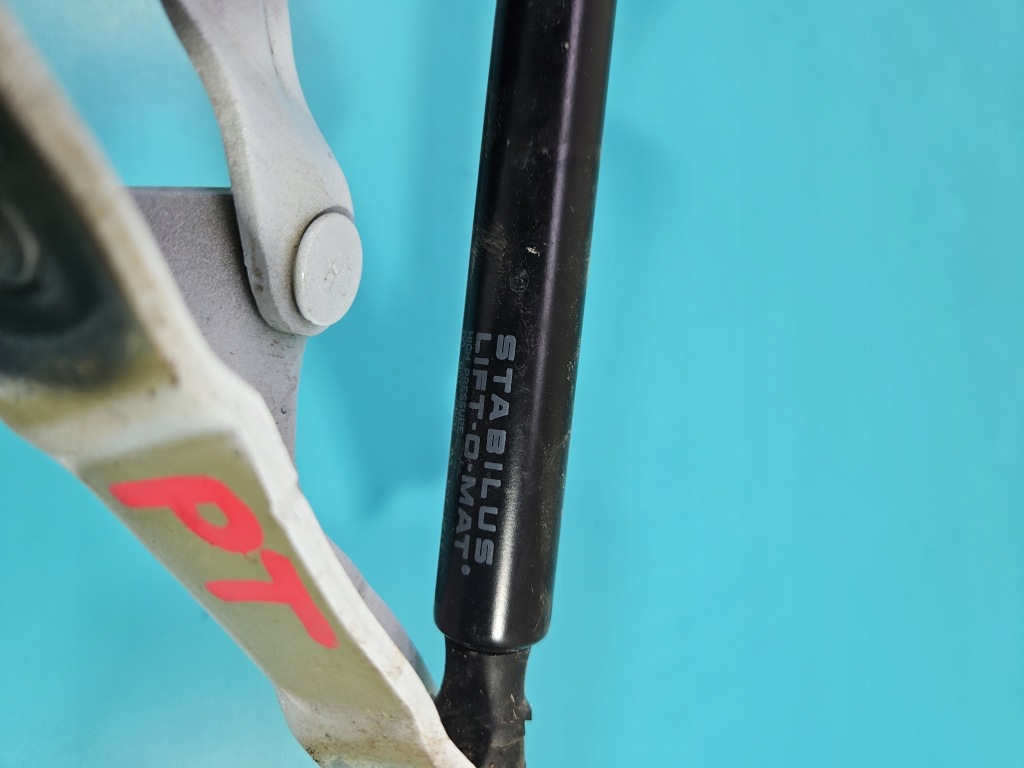 Петля кришки задній задній привід tesla model 3 2017- Недорого