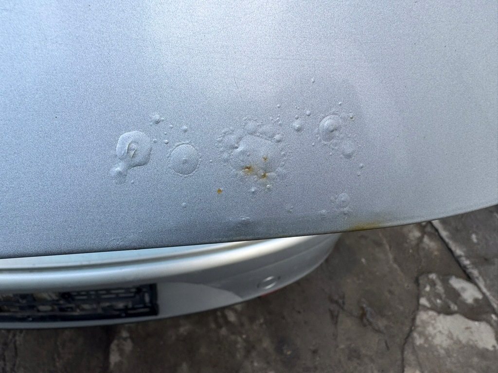 фото №10, Кришка багажника задня багажника + скло срібляста seat altea xl 06- лак: ls7y 100um