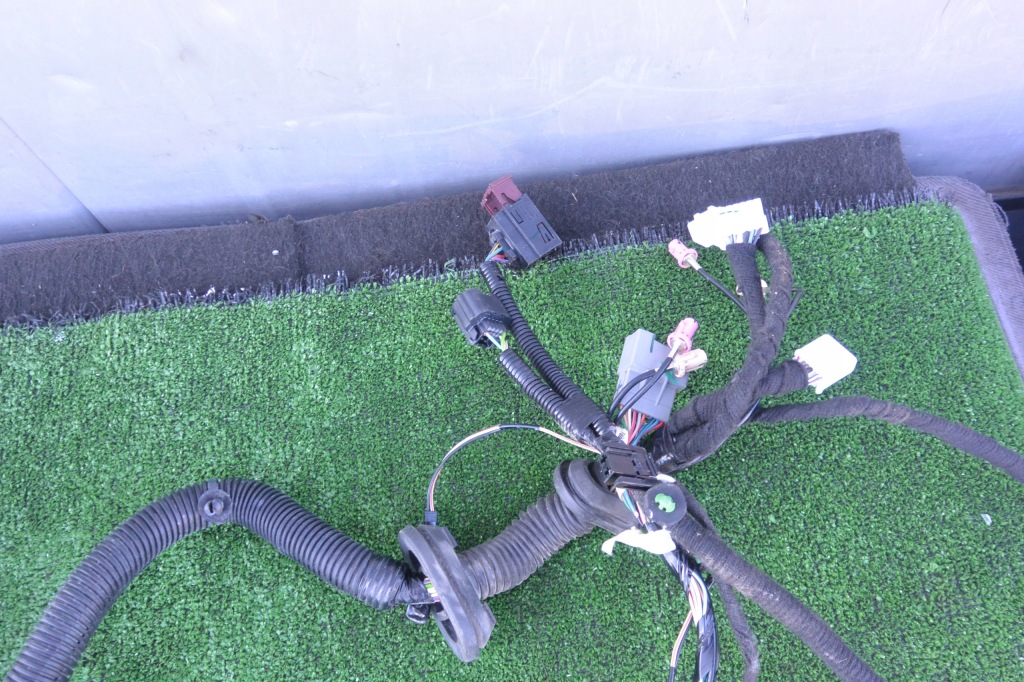 фото №9, Жгут дверь перед задняя правый левый tesla model s eu