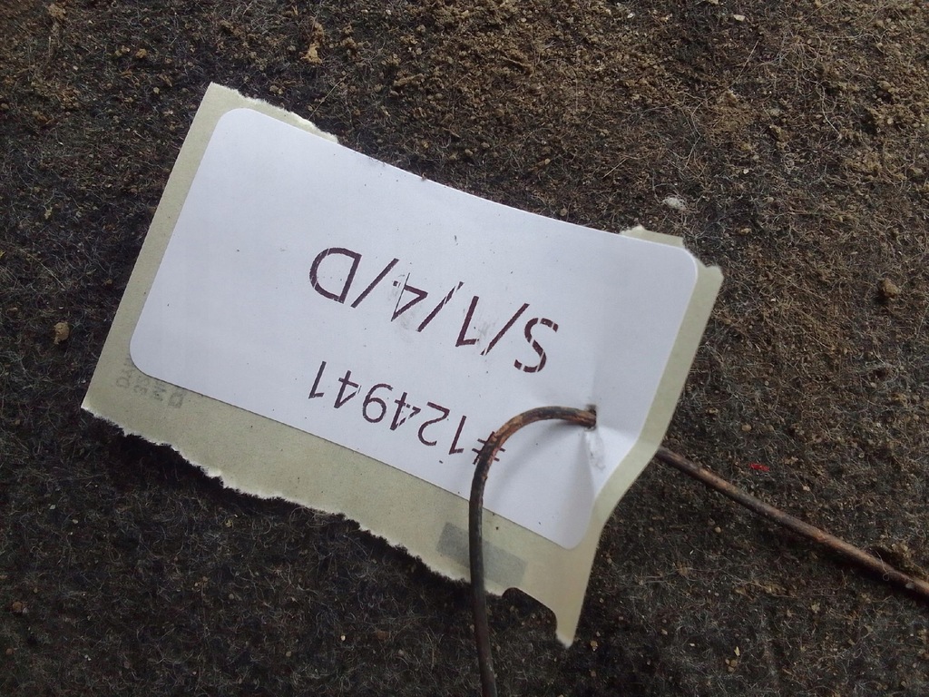 фото №9, Mercedes w203 двигатель kompletny 2.2 cdi 6110110501 kompletny форсунки