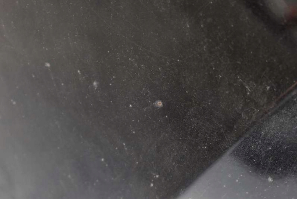 фото №11, Кришка багажника багажника задня задня 9p kia sportage 2 ii 04-08