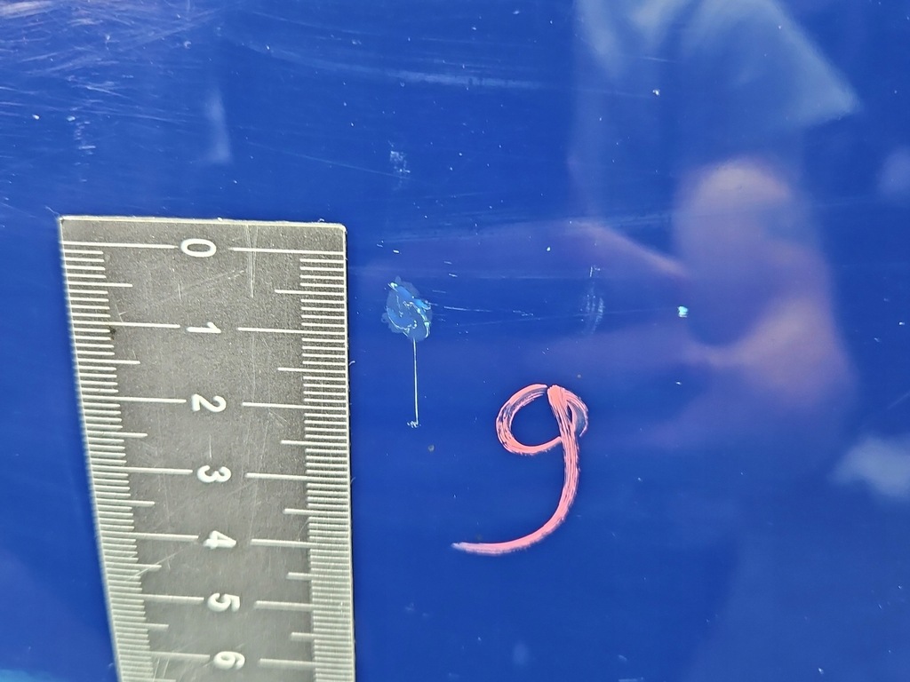 фото №11, Дверь перед левая toyota corolla e12 3d 8q4