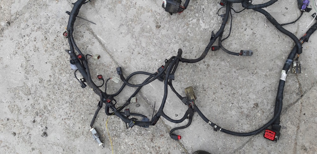 фото №5, Джгут двигуна 5.4 ford f150 f 150 електропроводка 06r