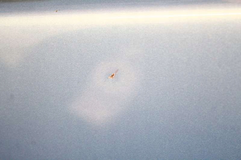 фото №6, Дверь левая перед передние голубой citroen c3 pluriel 1 i 02-10