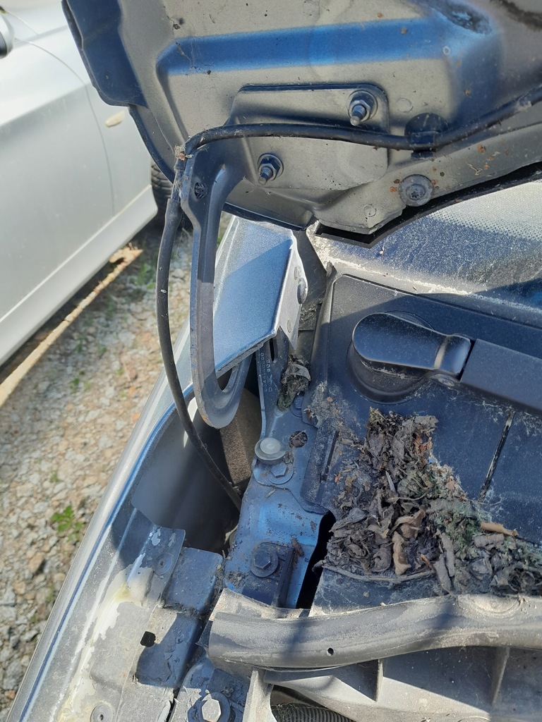 фото №3, Капот петлі підкрилок peugeot 1007 стан bdb