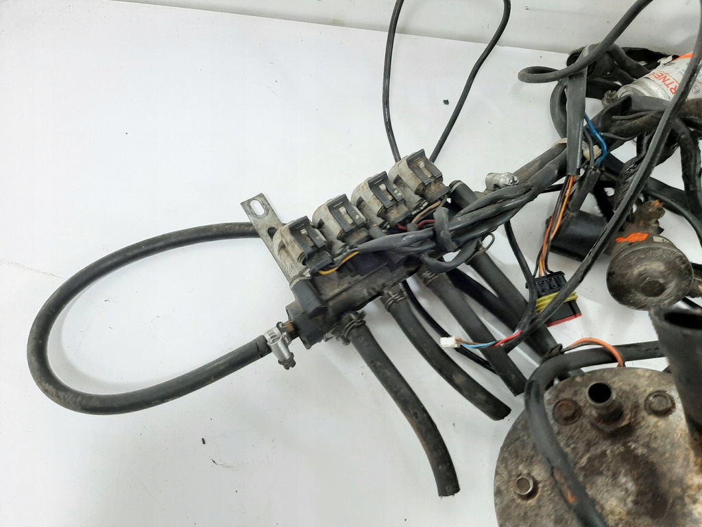 фото №10, Електропроводка газова lpg zavoli alisei direct 4-cyl блок керування 67r-016032 kpl