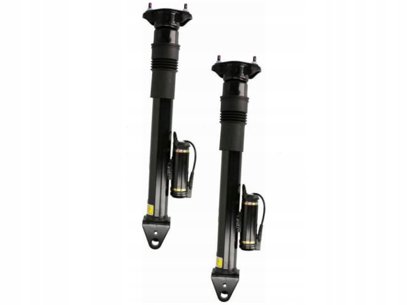 Купити Амортизатори задній arnott sk-2867