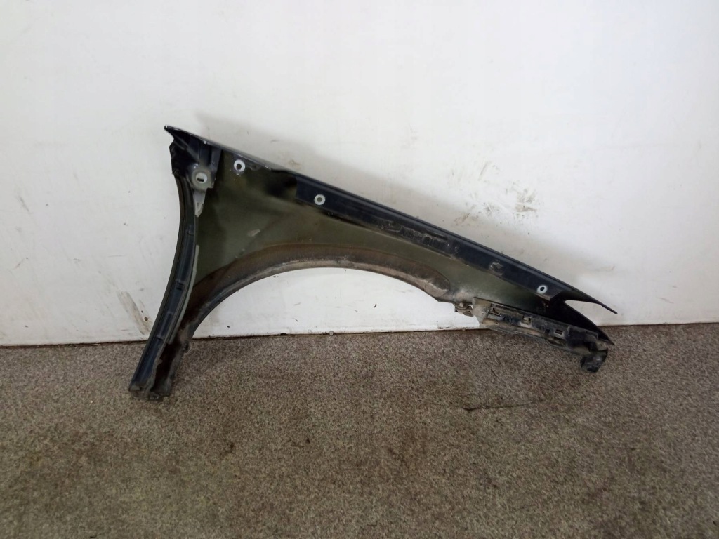 фото №9, Крила лівий перед teb66 renault laguna iii 2007-