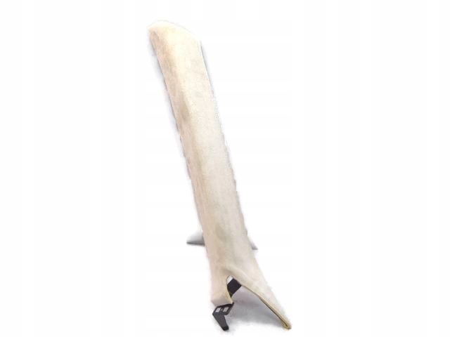 фото №1, Maserati quattroporte vi захист стійка ліва бежевий 670010334