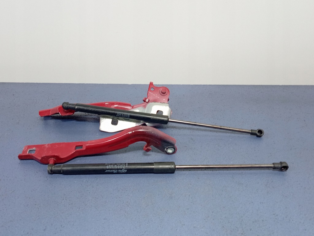 фото №1, Alfa romeo giulia quadrifoglio петли капот