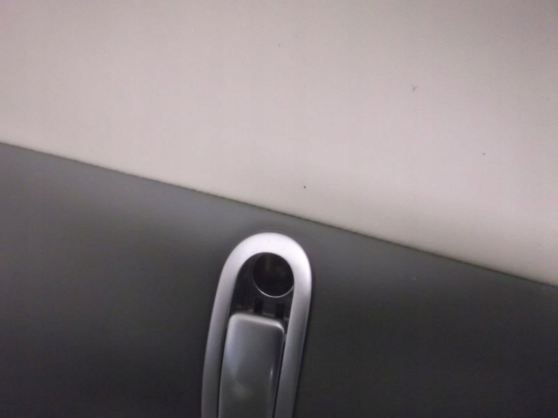 фото №4, Потолок bentley continental 2011