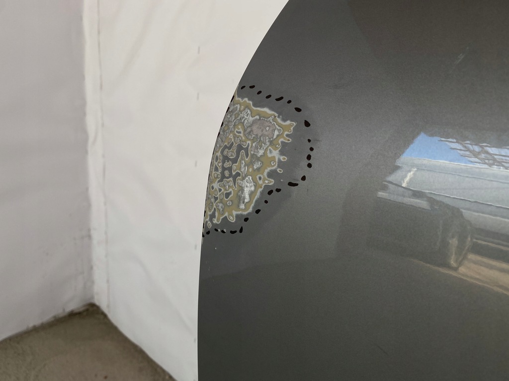 фото №14, Ford puma двері задні ліва