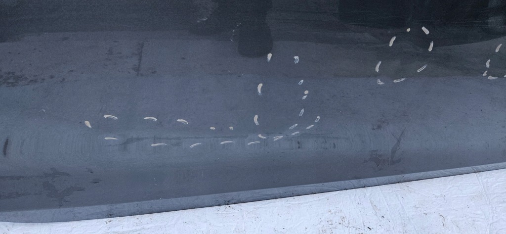 фото №3, Opel cascada дверь правое перед передние