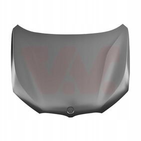 фото №1, Оригінальний номер bmw капот bmw x1 f48 2015-2022 41007463772