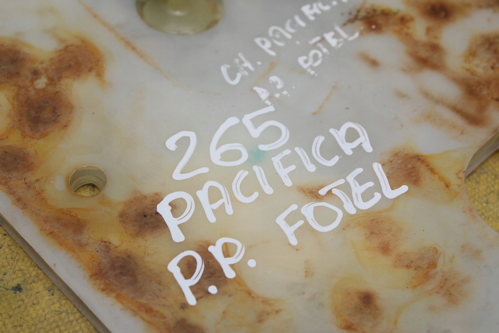 фото №9, Мат занятости сиденье правый перед pacifica i