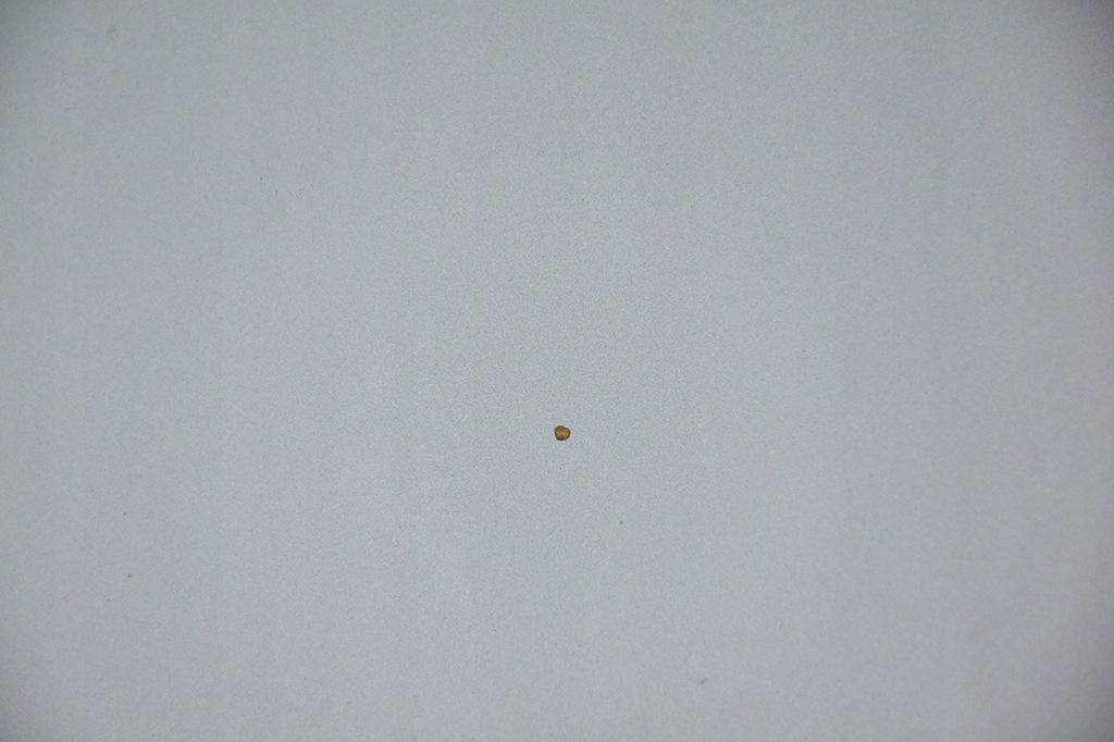 фото №7, Капот кришка двигуна opel insignia a