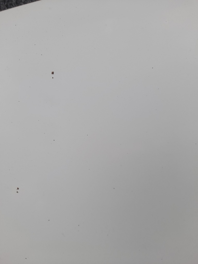 фото №2, Капот ford transit mk5