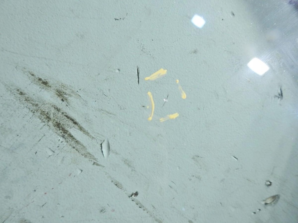 фото №7, Стекло передняя лобовое nissan micra k13