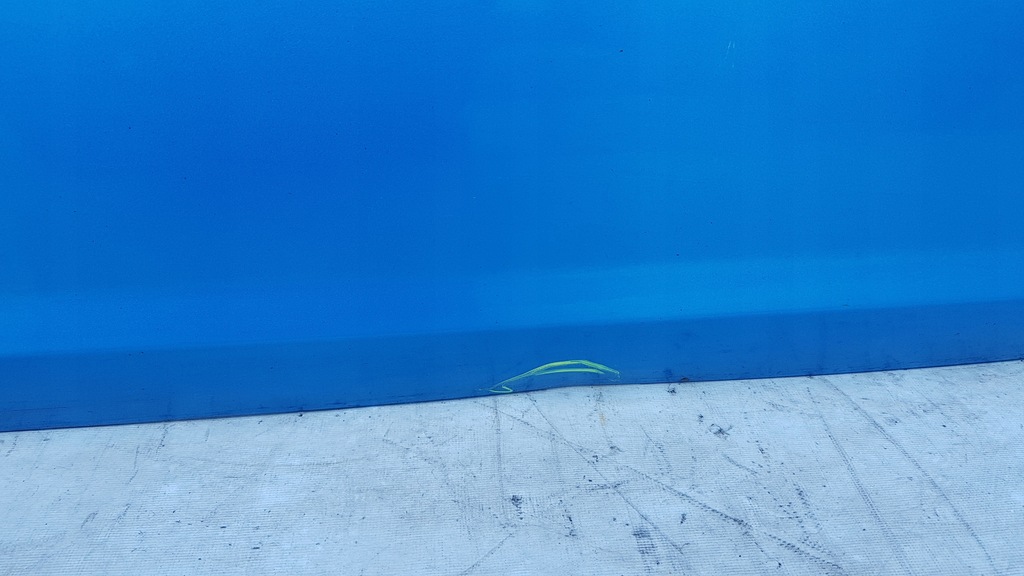 фото №8, Дверь правое перед ford c-max mk1