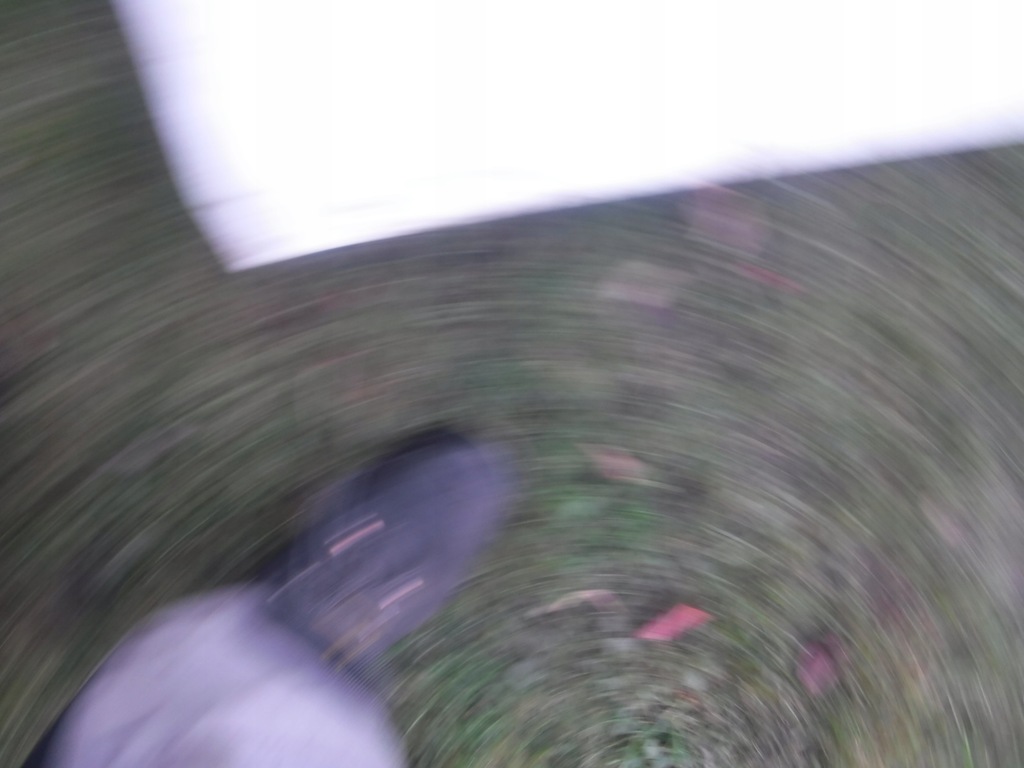 фото №4, Renault koleos ii дверь задняя задние левая