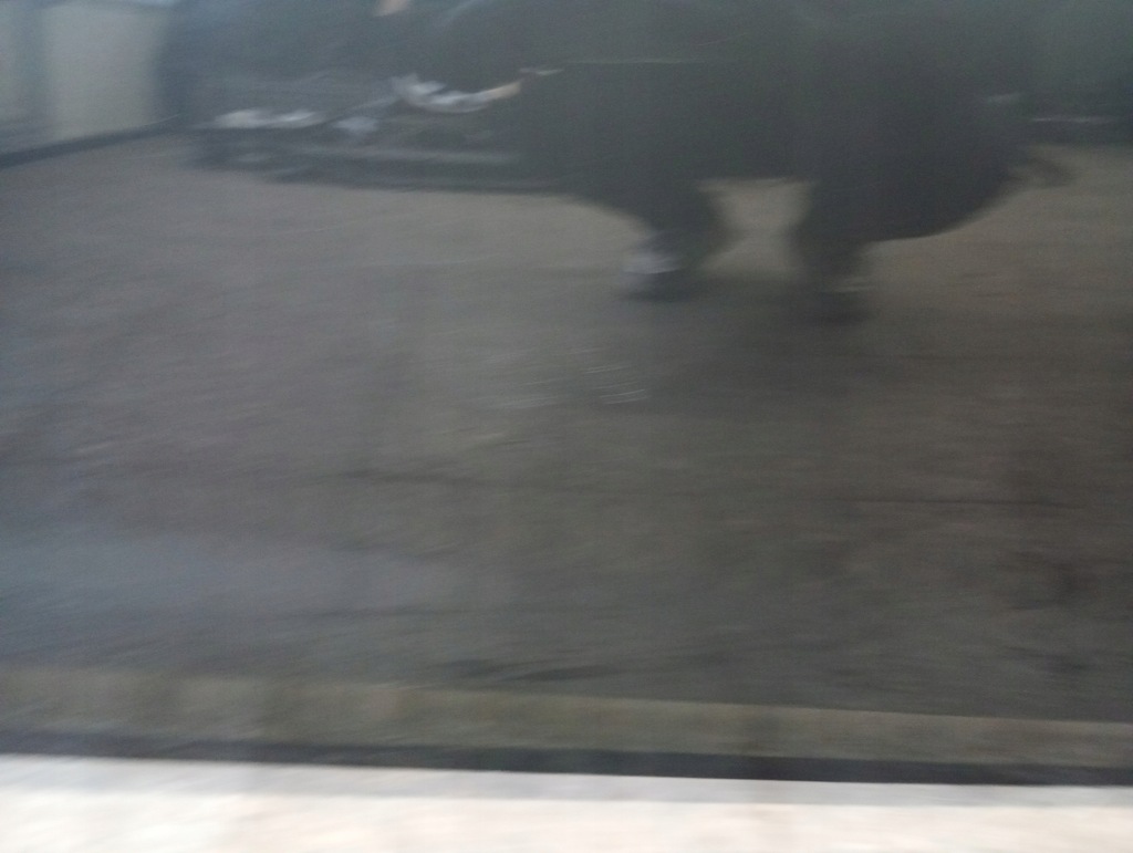 фото №9, Дверь правый перед audi a4 b9 lift 19-23r серые