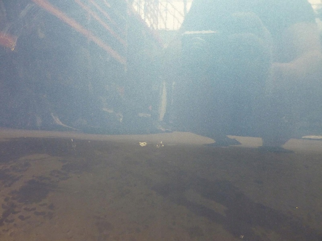 фото №11, Дверь alfa romeo 147 3d 00-10r. левая передние 203b