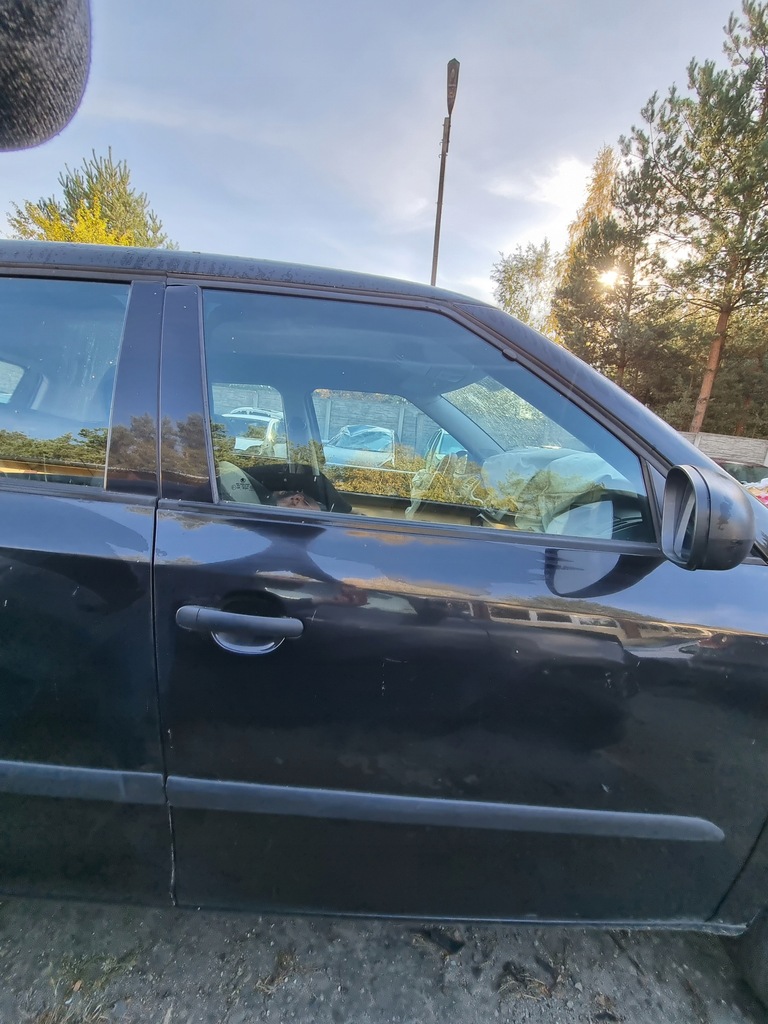 фото №1, Skoda fabia ii 07-14 двері правий перед lf9r