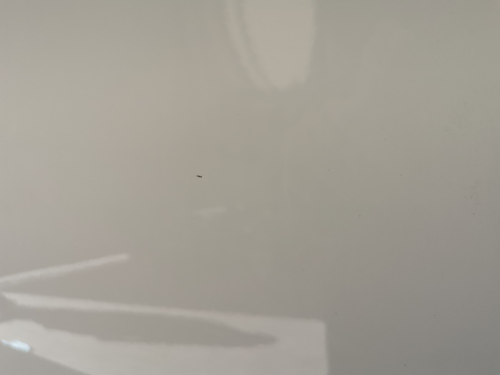 фото №9, Chrysler pacifica ii lift 21r. usa дверь задние левый задняя pw7