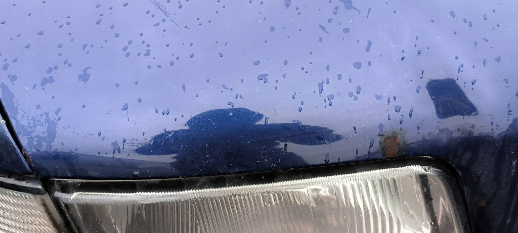 фото №6, Капот lz5k audi a4 b5