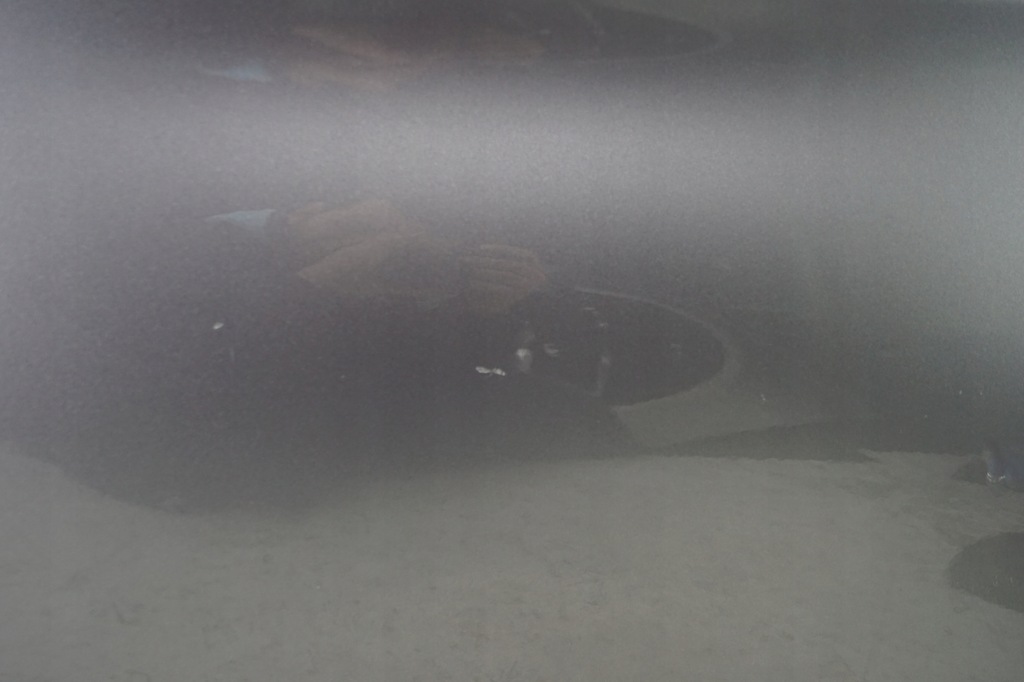 фото №11, Двері лівий задня bmw 5 f10