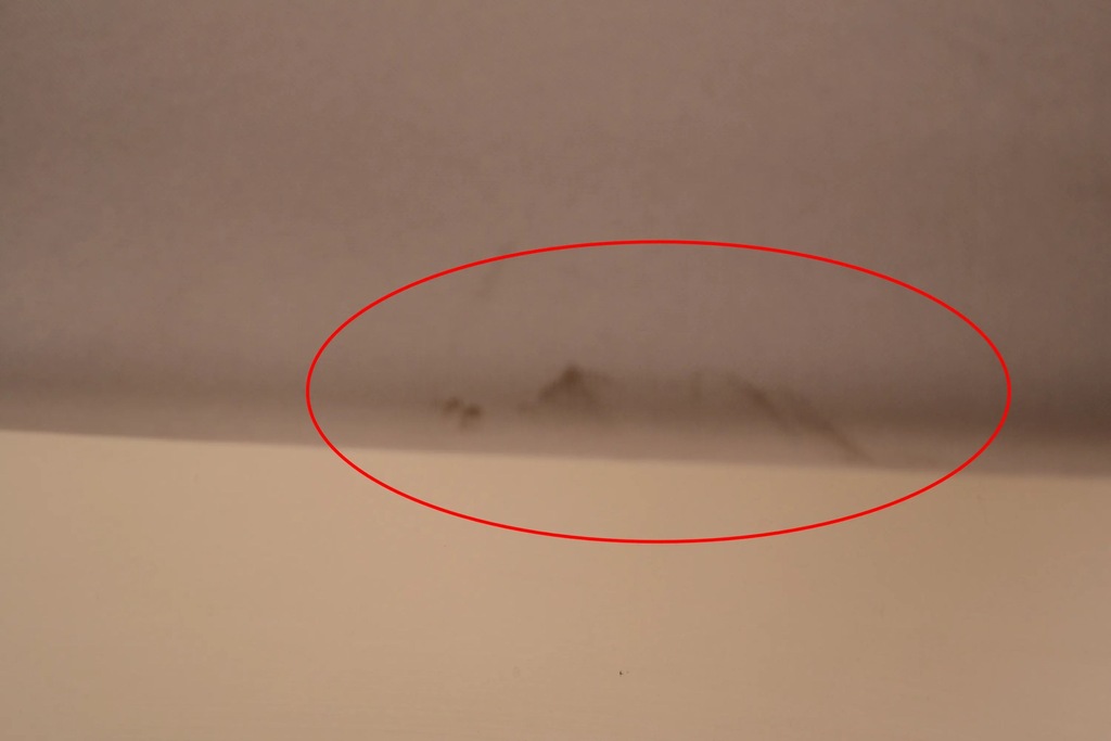 фото №7, Alfa romeo giulia 2016 потолок